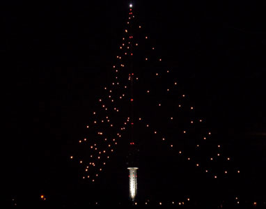 De grootste kerstboom